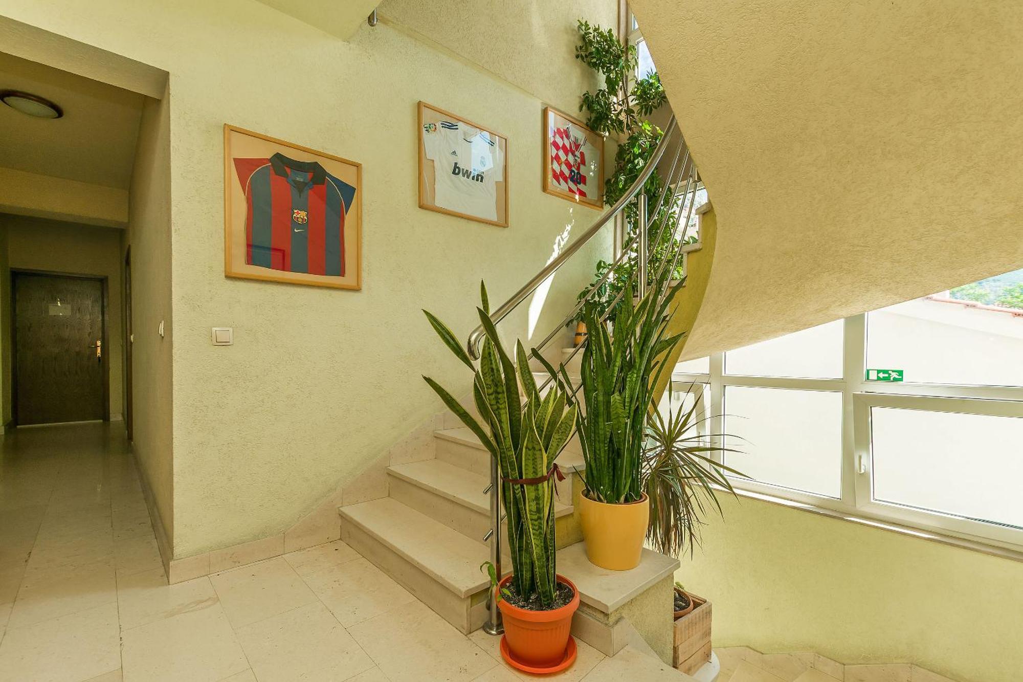 Mate Apartment